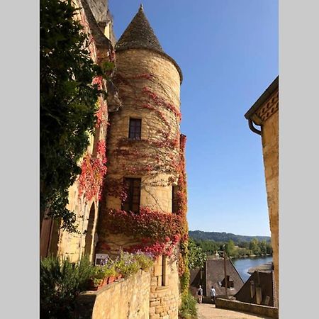 Willa La Vue D'Or La Roque-Gageac Zewnętrze zdjęcie