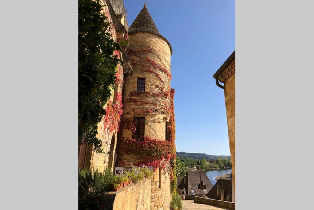 Willa La Vue D'Or La Roque-Gageac Zewnętrze zdjęcie